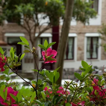 מלון Balneario De ארטיקסו