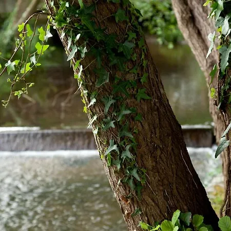 Balneario De Szálloda