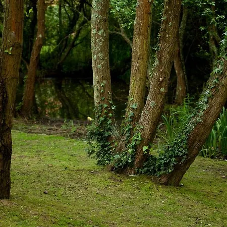 Balneario De Szálloda 2*